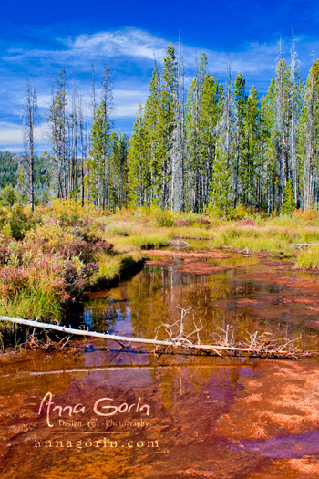Coppery waters trickling into Stanley Lake, Idaho
