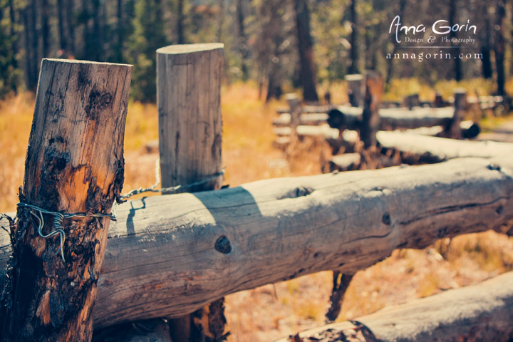 Rustic fences lead the way near the Bridal Veil Falls trailhead by Stanley Lake