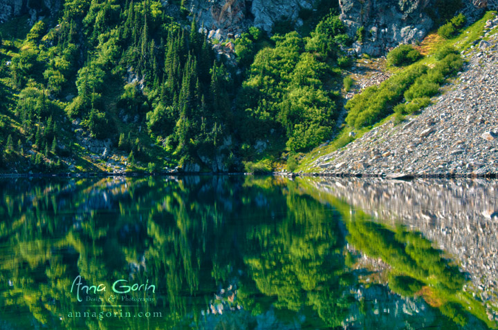 A garden of greenery reflected in Alpine Lake near Stanley, Idaho