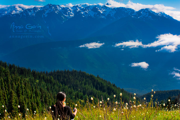 Couldn't ask for a more spectacular view atop Hurricane Hill in Olympic National Park