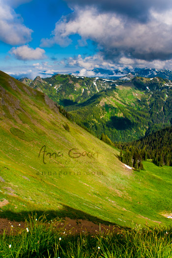 Majestic mountains and valleys at Olympic National Park