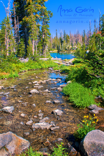 An alpine stream trickles out from Sawtooth Lake near Stanley, Idaho