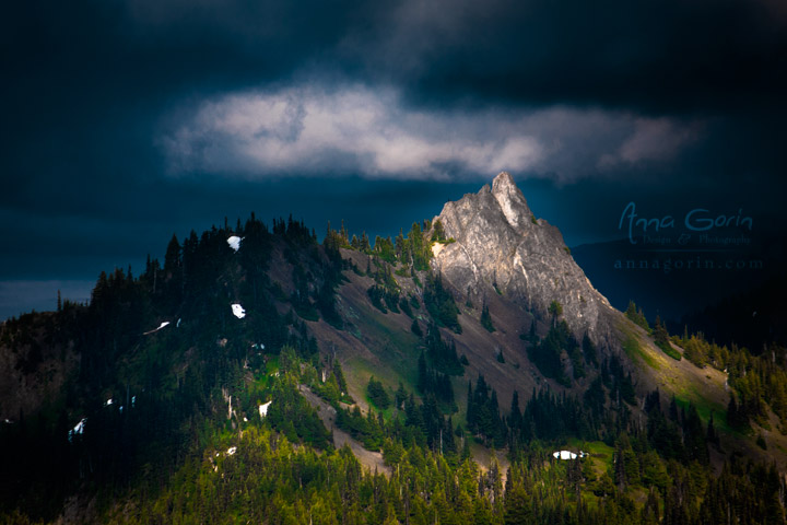 The view from the Hurricane Ridge visitor center at Olympic National Park