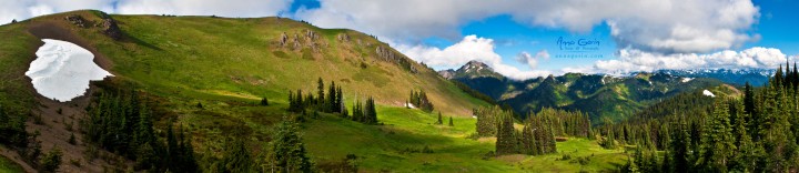 The trail to Hurricane Hill, Olympic National Park, Washington