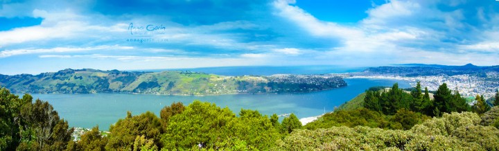 The Otago Harbour and Peninsula, New Zealand, as seen from Signal Hill