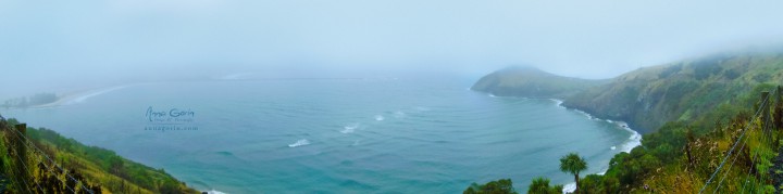 The Otago Peninsula, New Zealand, looking across the Otago Harbour to Aramoana