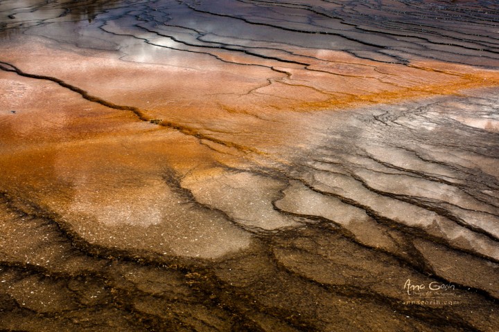 The World in HDR (part III, Yellowstone edition) | yellowstone river yellowstone national park wyoming sulphur sulfur old faithful lower falls landscapes HDR grand prismatic spring geyser geothermal fountain paint pots  | Anna Gorin Photography, Boise, Idaho