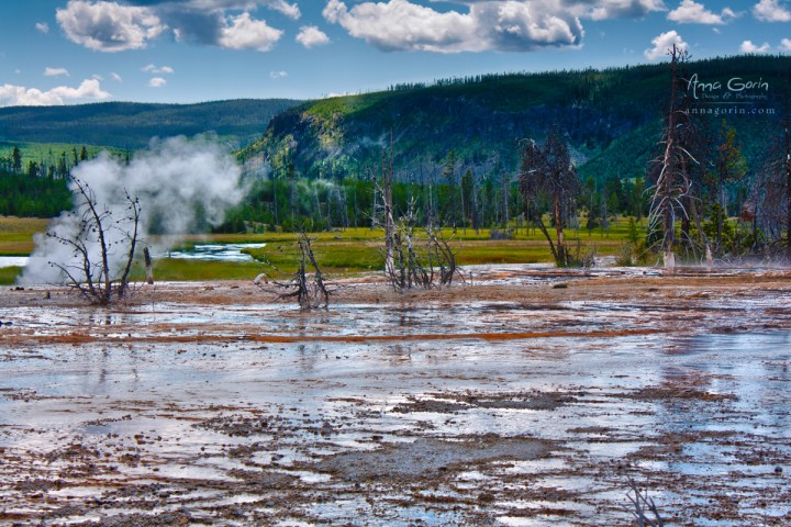 The World in HDR (part III, Yellowstone edition) | yellowstone river yellowstone national park wyoming sulphur sulfur old faithful lower falls landscapes HDR grand prismatic spring geyser geothermal fountain paint pots  | Anna Gorin Photography, Boise, Idaho