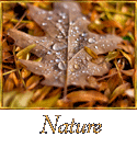 Boise nature photography