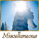 Boise photography | Miscellaneous