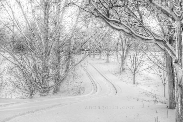 A Farewell to Winter | winter water drop snow seasons raindrops nature march ice droplet  | Anna Gorin Photography, Boise, Idaho