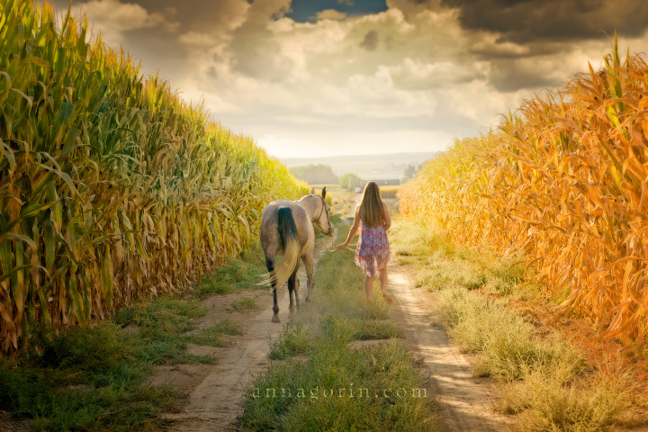 Seniors: Beth | western seniors 2013 Senior Portraits Senior Portrait Senior Pictures Boise Senior Photos rural photoshoots photography parma idaho horses horseback equestrian country Boise Senior Photography boise  | Anna Gorin Photography, Boise, Idaho