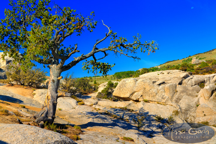 city-of-rocks-idaho_011