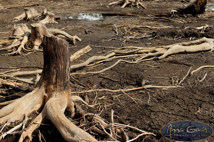 mccall-boulder-meadows-idaho_011