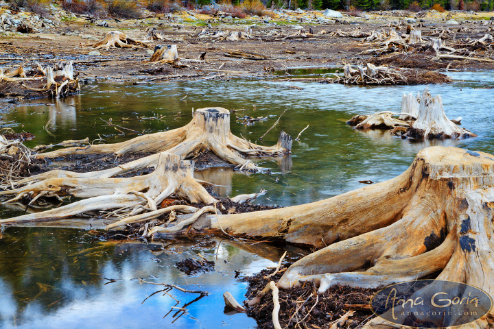 mccall-boulder-meadows-idaho_012