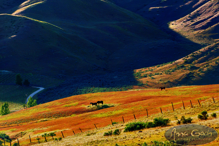 emmett-idaho-storms_004