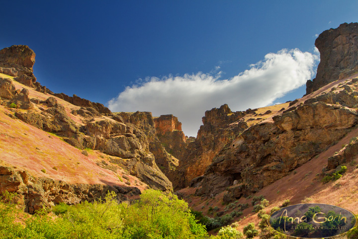 jump-creek-falls-idaho_004