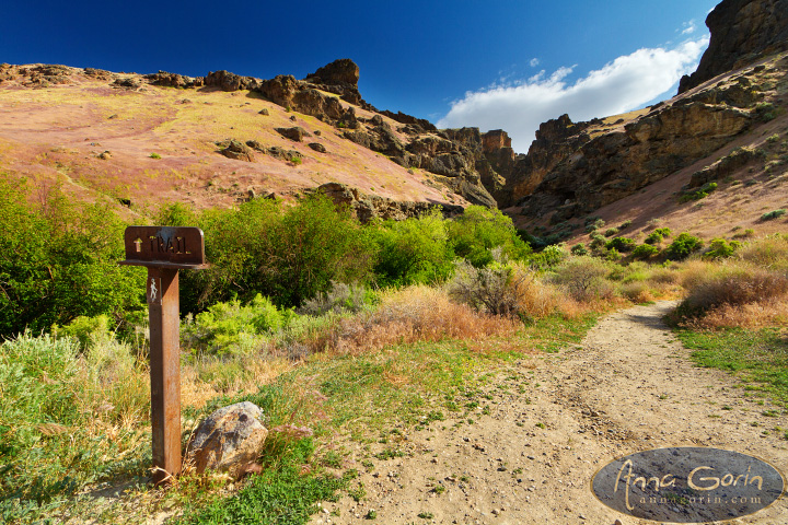 jump-creek-falls-idaho_005