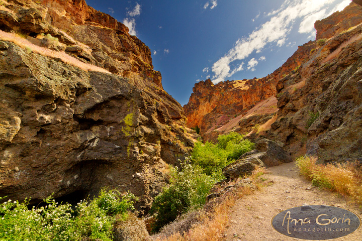 jump-creek-falls-idaho_006