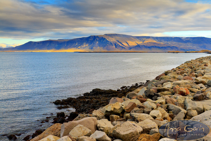 Iceland: Reykjavik | travel sunrise sun voyager solfar reykjavik landscapes iceland hallgrímskirkja europe blue lagoon  | Anna Gorin Photography, Boise, Idaho