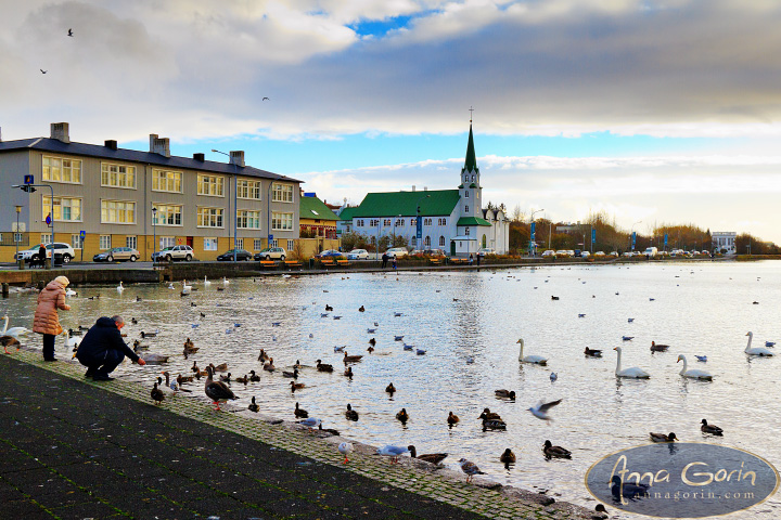 Iceland: Reykjavik | travel sunrise sun voyager solfar reykjavik landscapes iceland hallgrímskirkja europe blue lagoon  | Anna Gorin Photography, Boise, Idaho