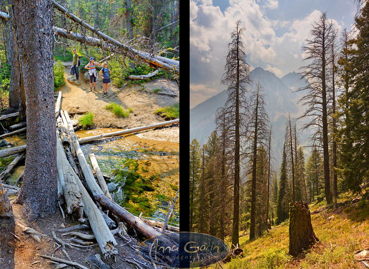 goat-lake-sawtooths-idaho_003