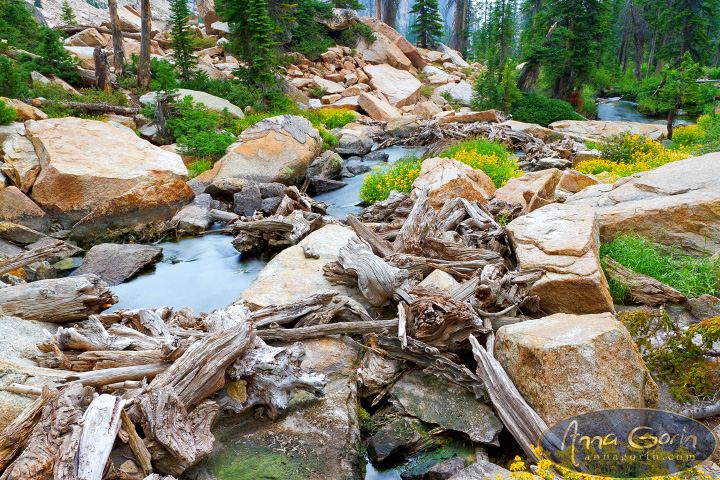 goat-lake-sawtooths-idaho_011