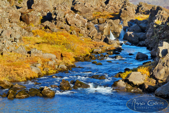 iceland-thingvellir-national-park_015