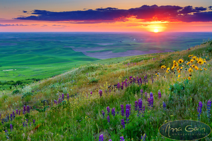 palouse-steptoe-butte_003