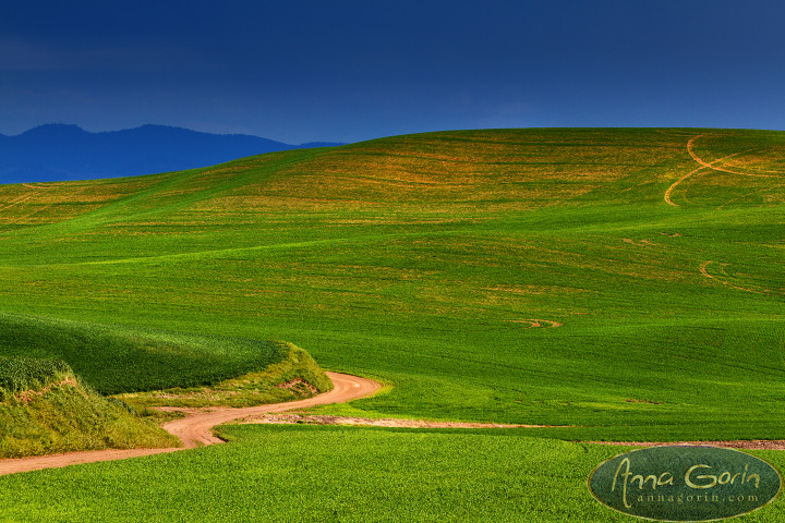 palouse-steptoe-butte_004