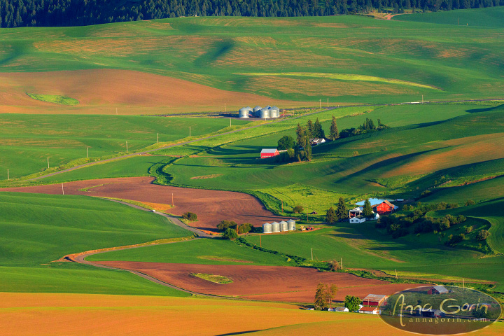 palouse-steptoe-butte_005