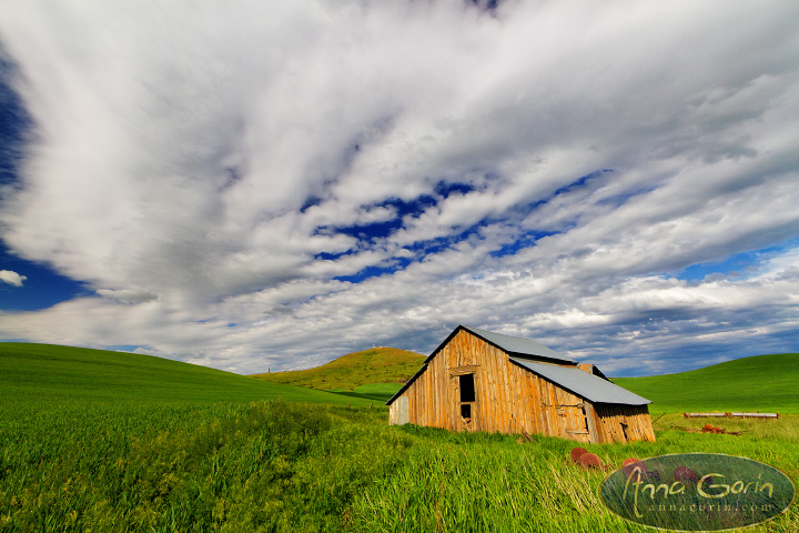 palouse-steptoe-butte_006