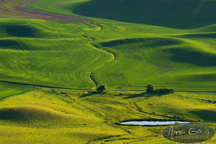 palouse-steptoe-butte_007