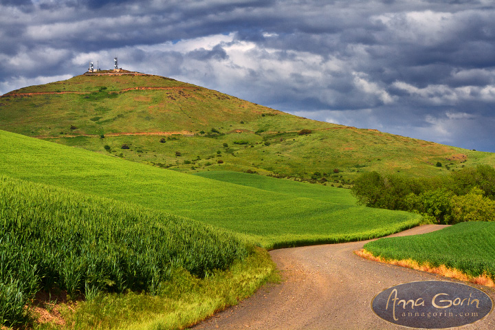 palouse-steptoe-butte_009