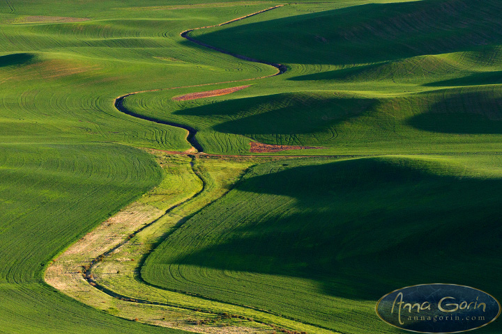 palouse-steptoe-butte_010