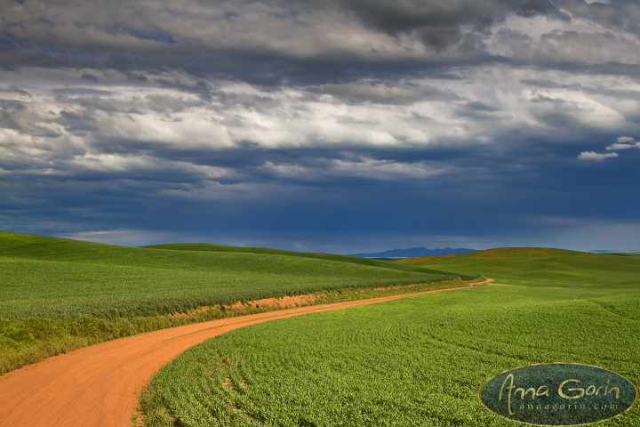 palouse-steptoe-butte_011