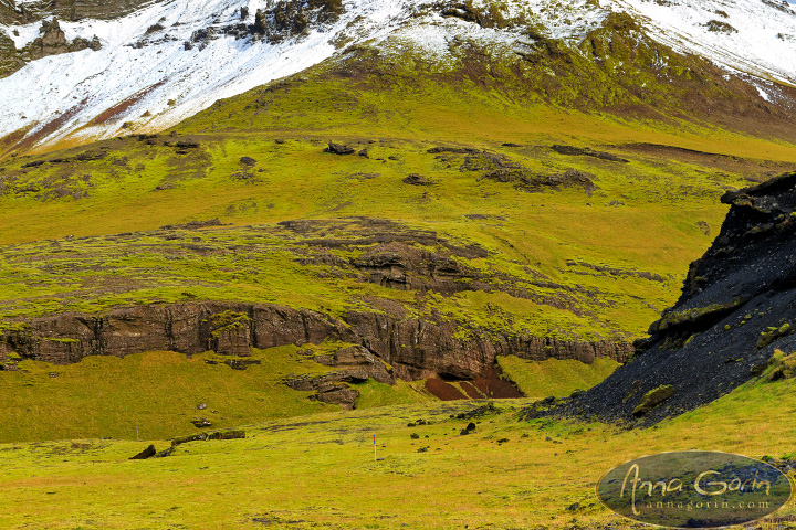 iceland-vik-autumn_004