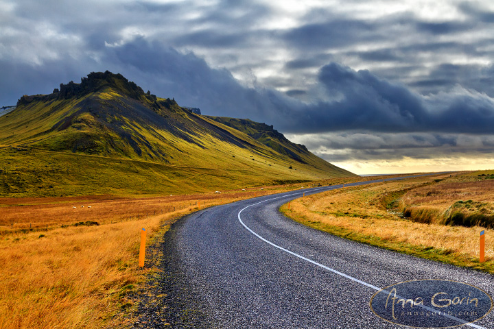 iceland-vik-autumn_008