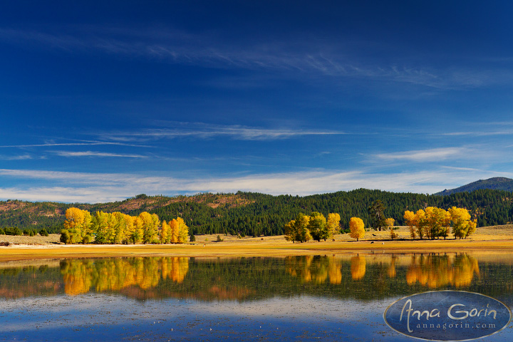 Autumn in McCall and Cascade | travel sunset ponderosa state park photography payette lake nature mccall landscapes lake cascade idaho foliage fall cascade blue hour autumn  | Anna Gorin Photography, Boise, Idaho