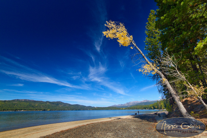 mccall-payette-lake-autumn_003