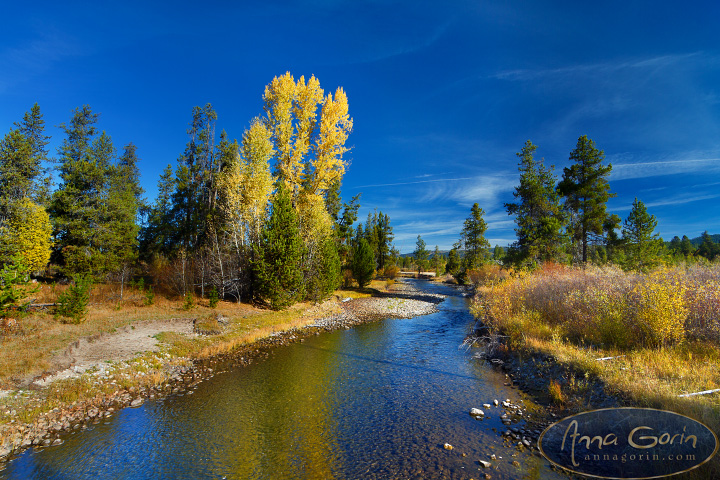 mccall-payette-lake-autumn_021