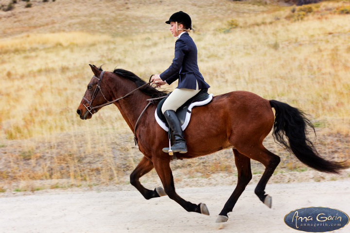 boise-equestrian-photography_007