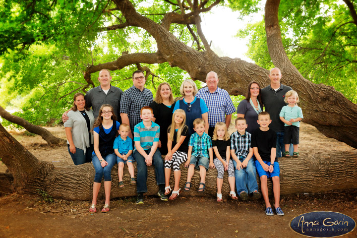 The Blacker family | veterans memorial park summer portrait photoshoots photography outdoor portraits kids Family Photos Family Photographer Boise Family Photographer families Extended Family Photos children Boise Family Photos Boise Family Photography Boise Family Photographer  | Anna Gorin Photography, Boise, Idaho