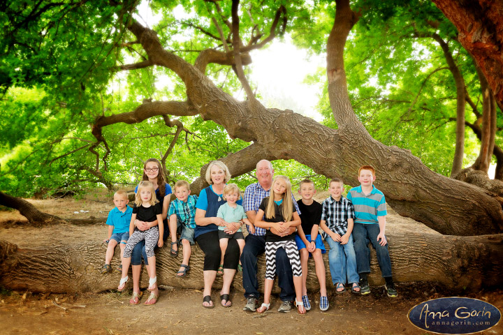 The Blacker family | veterans memorial park summer portrait photoshoots photography outdoor portraits kids Family Photos Family Photographer Boise Family Photographer families Extended Family Photos children Boise Family Photos Boise Family Photography Boise Family Photographer  | Anna Gorin Photography, Boise, Idaho