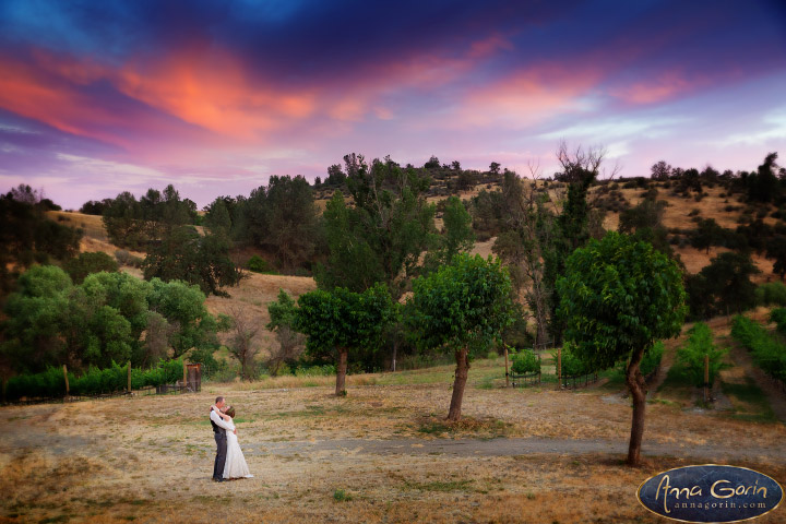 Weddings: Sam & Mike | weddings wedding photos wedding photography Wedding Photographers Boise Wedding Photographer Boise romance portraits love Jamestown Hurst Ranch groom events destination weddings california bride Boise Weddings Boise Wedding Photography Boise Wedding Photographers Boise Wedding Photographer  | Anna Gorin Photography, Boise, Idaho