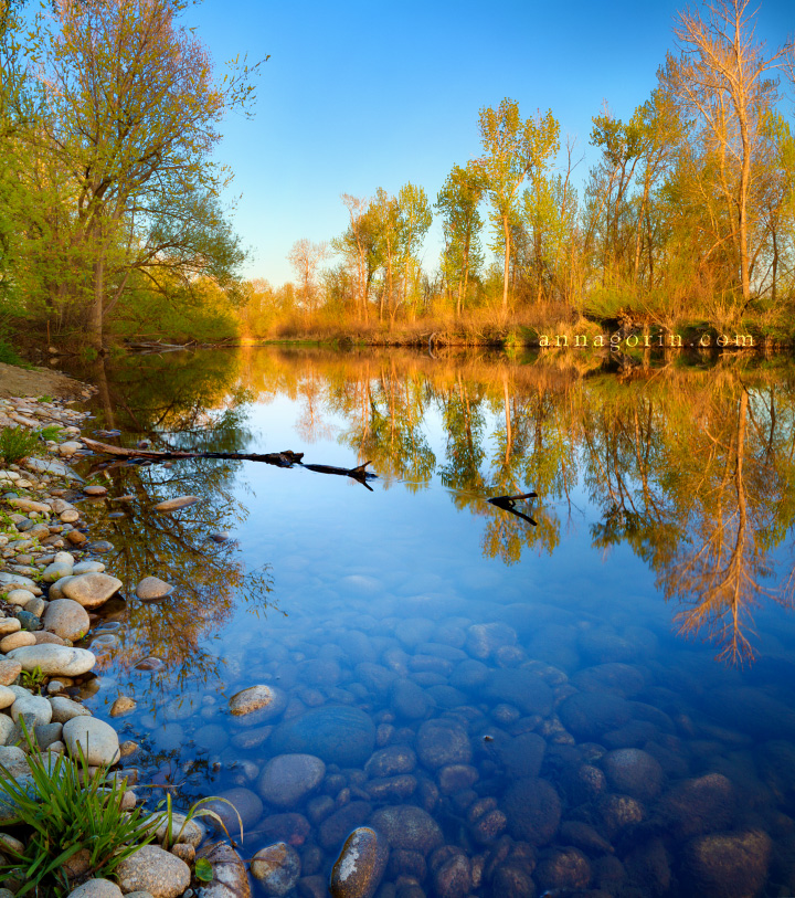 Beauty of the Boise River