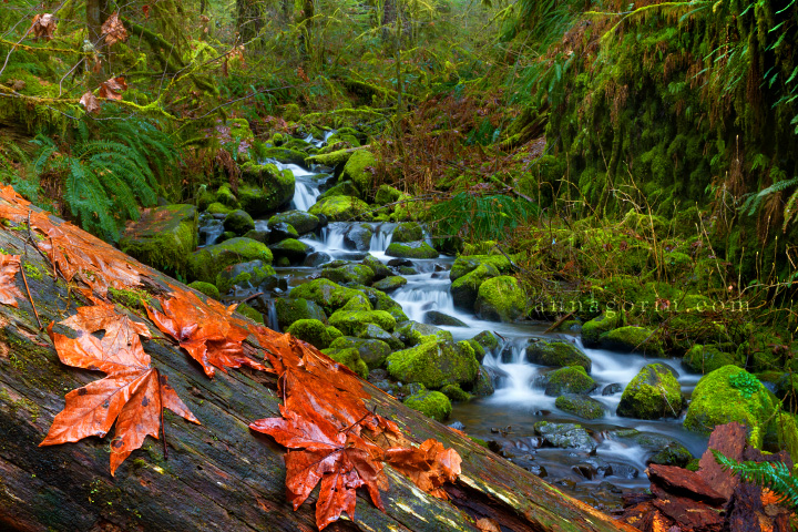 Waterfalls of Oregon’s Eagle Creek