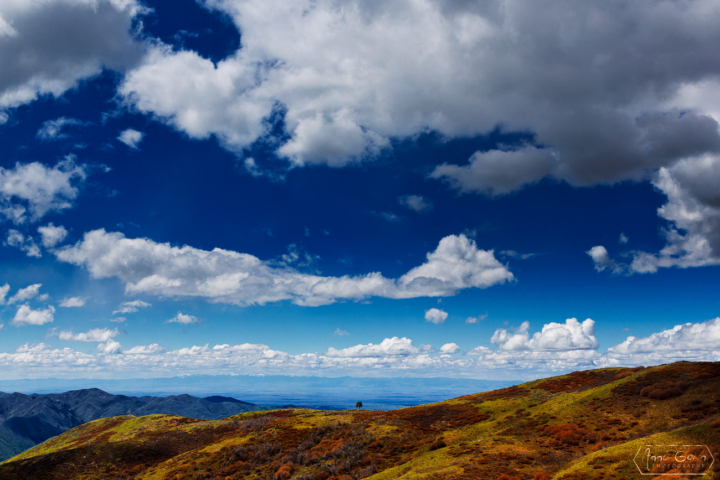 Mount Heinen trail, Idaho