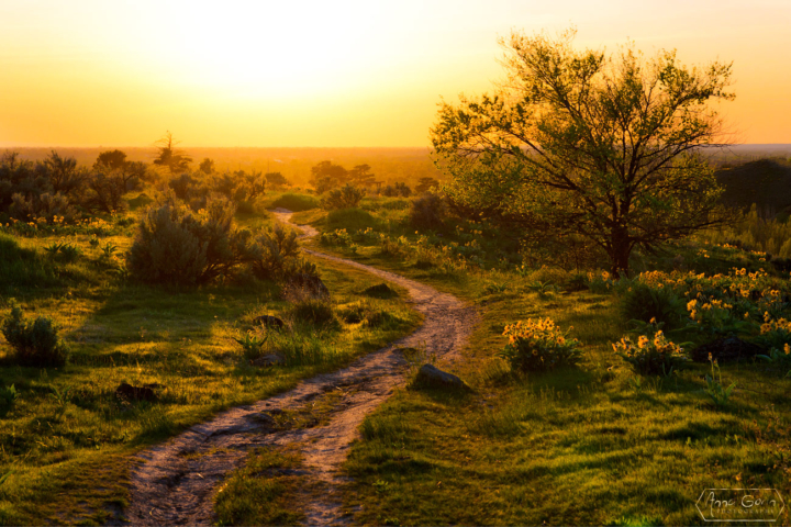 Military Reserve Park, Boise, Idaho