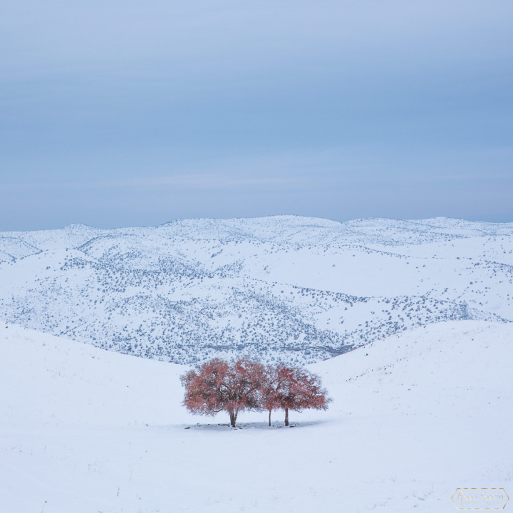 Chukar Butte trail, Boise, Idaho